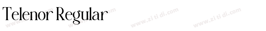 Telenor Regular字体转换